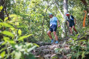 BIB: 
                            <button type="button" onclick="openModal(27699987)" class="btn btn-primary btn-sm float-right btn-popup" data-toggle="modal" data-target=".modal-high-quality">
                        <i class="fas fa-shopping-cart"></i> Add to Cart
                    </button>
                                            <button type="button" onclick="isThisMe(27699987, true)" class="btn btn-success btn-sm float-right btn-popup btn-isme hidden" data-toggle="tooltip" data-placement="bottom" title="นี่คือรูปของคุณใช่ไหม คลิกที่นี่เพื่อเอาเข้าอัลบั้ม">
                        <i class="fas fa-plus"></i> Add to album
                    </button>
                    <button type="button" onclick="isThisMe(27699987, false)" class="btn btn-warning btn-sm float-right btn-popup btn-isnotme hidden">
                        <i class="fas fa-ban"></i> Remove from album
                    </button>